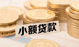 成都2哪里有小额贷款-成都2身份证贷款平台-成都2民间短借