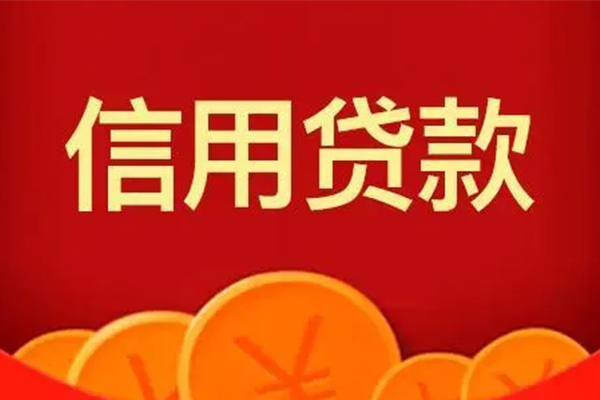 成都2民间短期私借借款